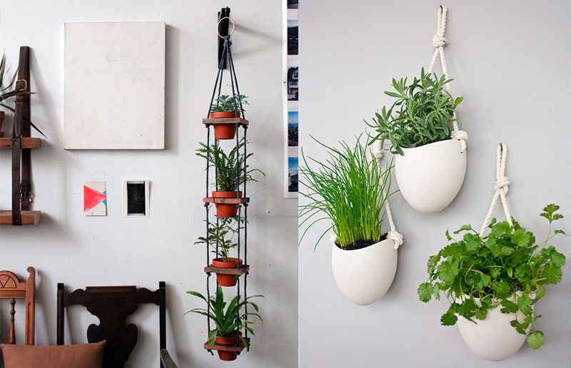 plantas para pendurar na sala plantas para pendurar na sala
