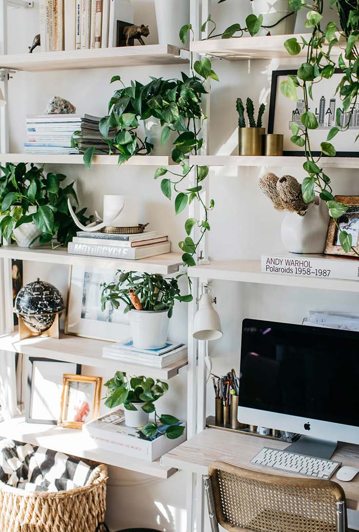 plantas para pendurar na sala plantas para pendurar na sala