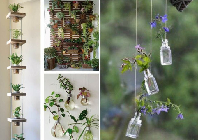 plantas para pendurar na sala plantas para pendurar na sala