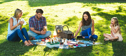 piquenique em familia piquenique em familia