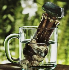 Imagem de santo submersa num copo de agua Imagem de santo submersa num copo de agua