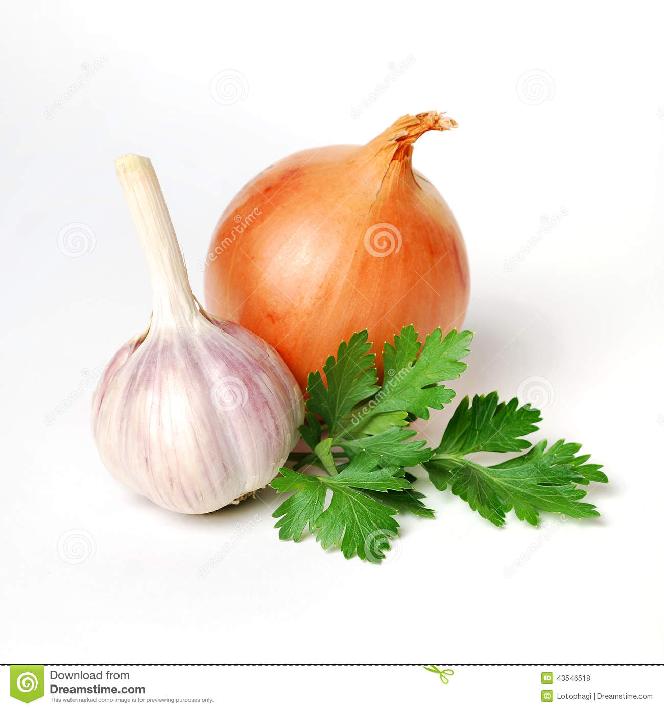 Condimentos Condimentos