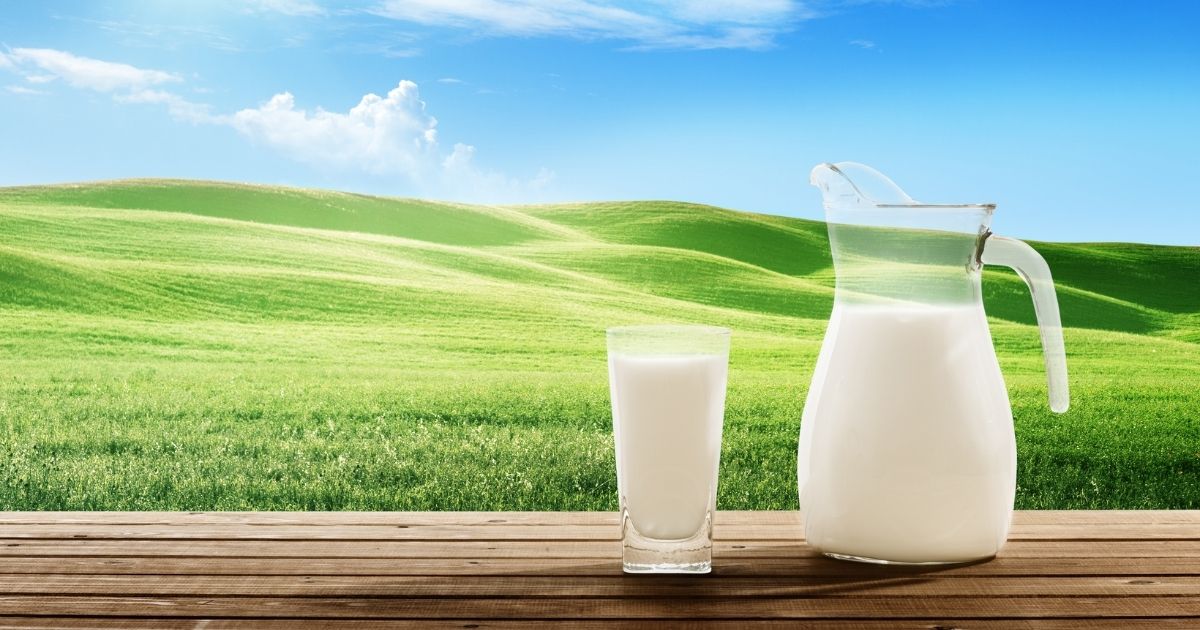 intolerância à lactose