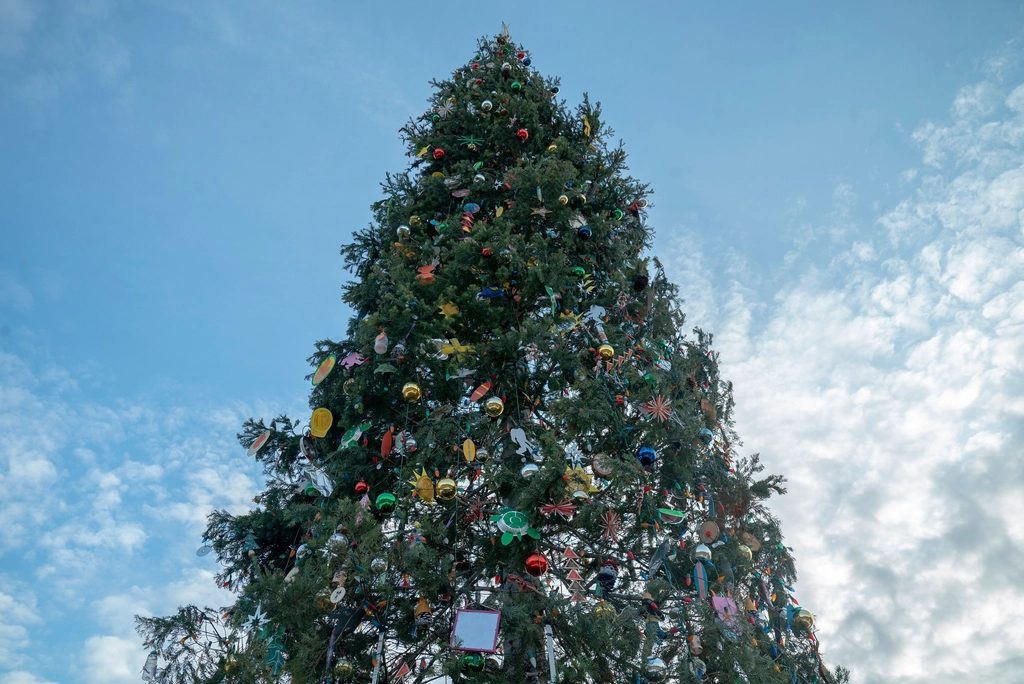Árvore de Natal alta decorada com bolas coloridas, vista de baixo contra o céu