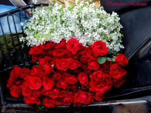 Buquê de rosas vermelhas com flores brancas