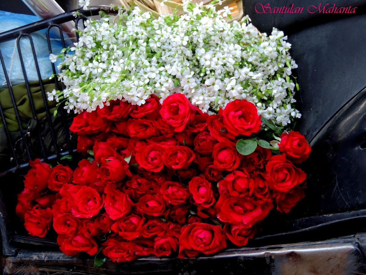 Buquê de rosas vermelhas com flores brancas